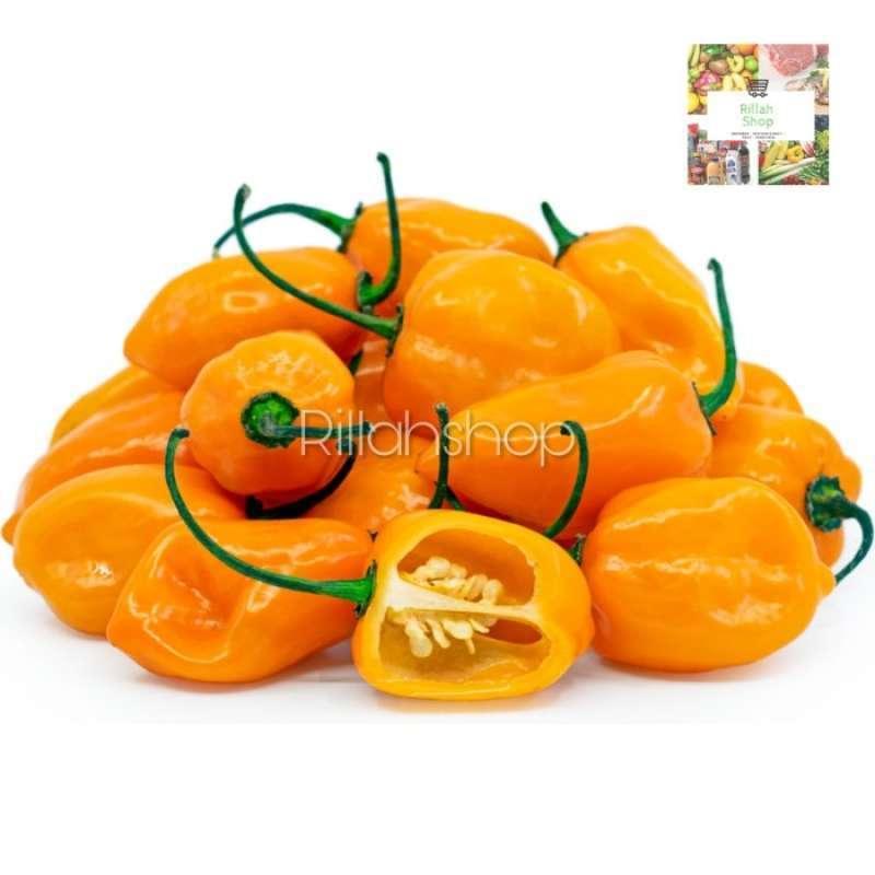 Temukan Agen Habanero Bagus untuk Keperluan Anda