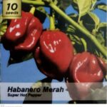 Temukan Agen Habanero Bagus untuk Keperluan Anda